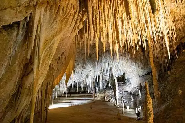 ABB Disability Services Hastings Caves in Hobart Tasmania